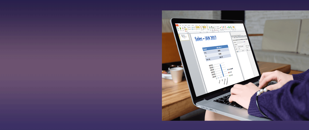 Screenshot of accel<>BI for MS Office